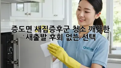 증도면 새집증후군 청소: 깨끗한 새출발, 후회 없는 선택!