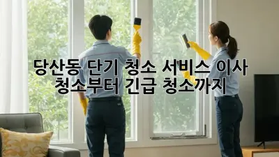 당산동 단기 청소 서비스: 이사 청소부터 긴급 청소까지!